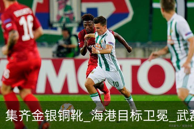 集齐金银铜靴 海港目标卫冕 武磊的伤是个麻烦